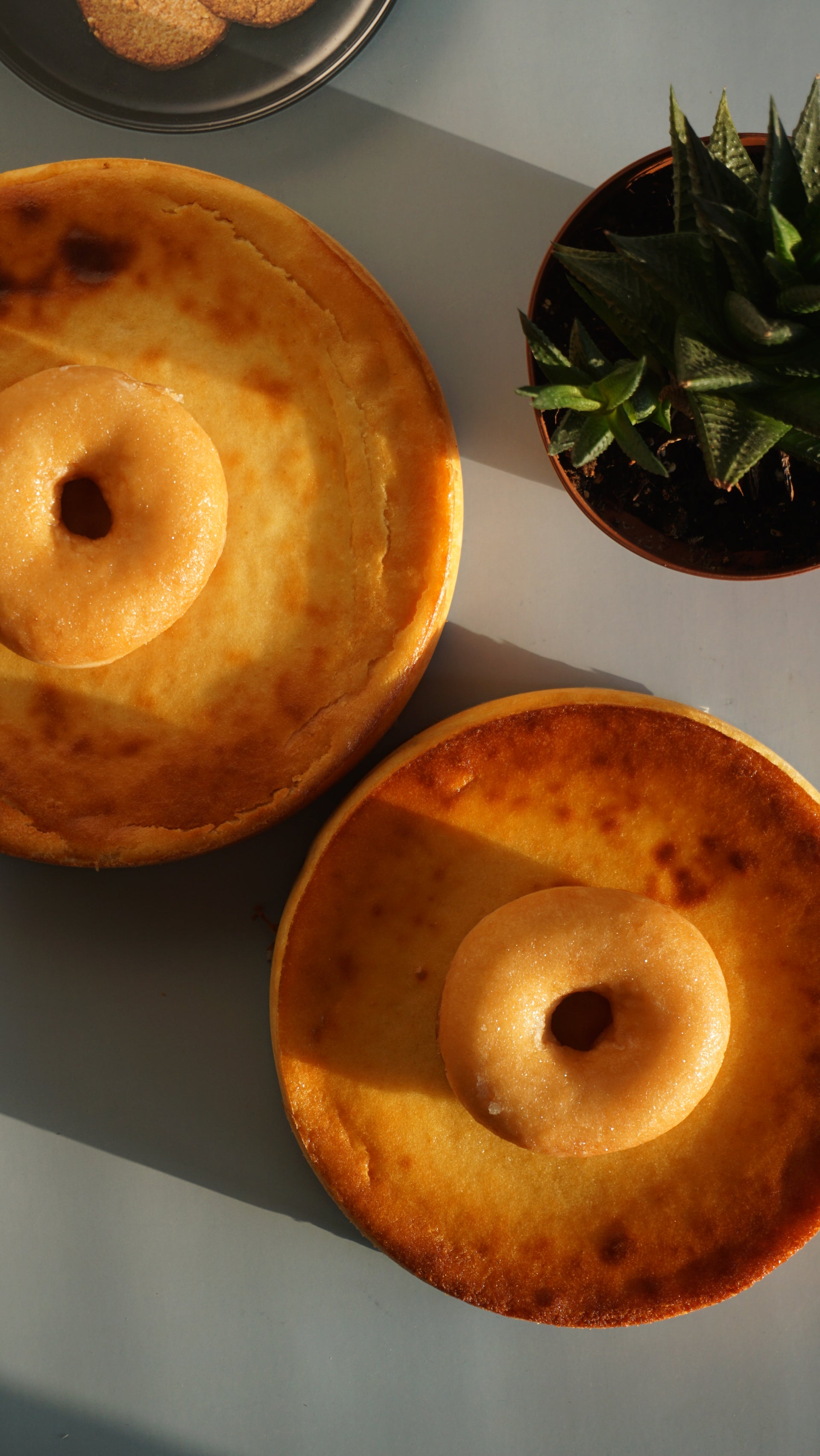 DONUTS® GLACÉ – Black Cake - Main Image